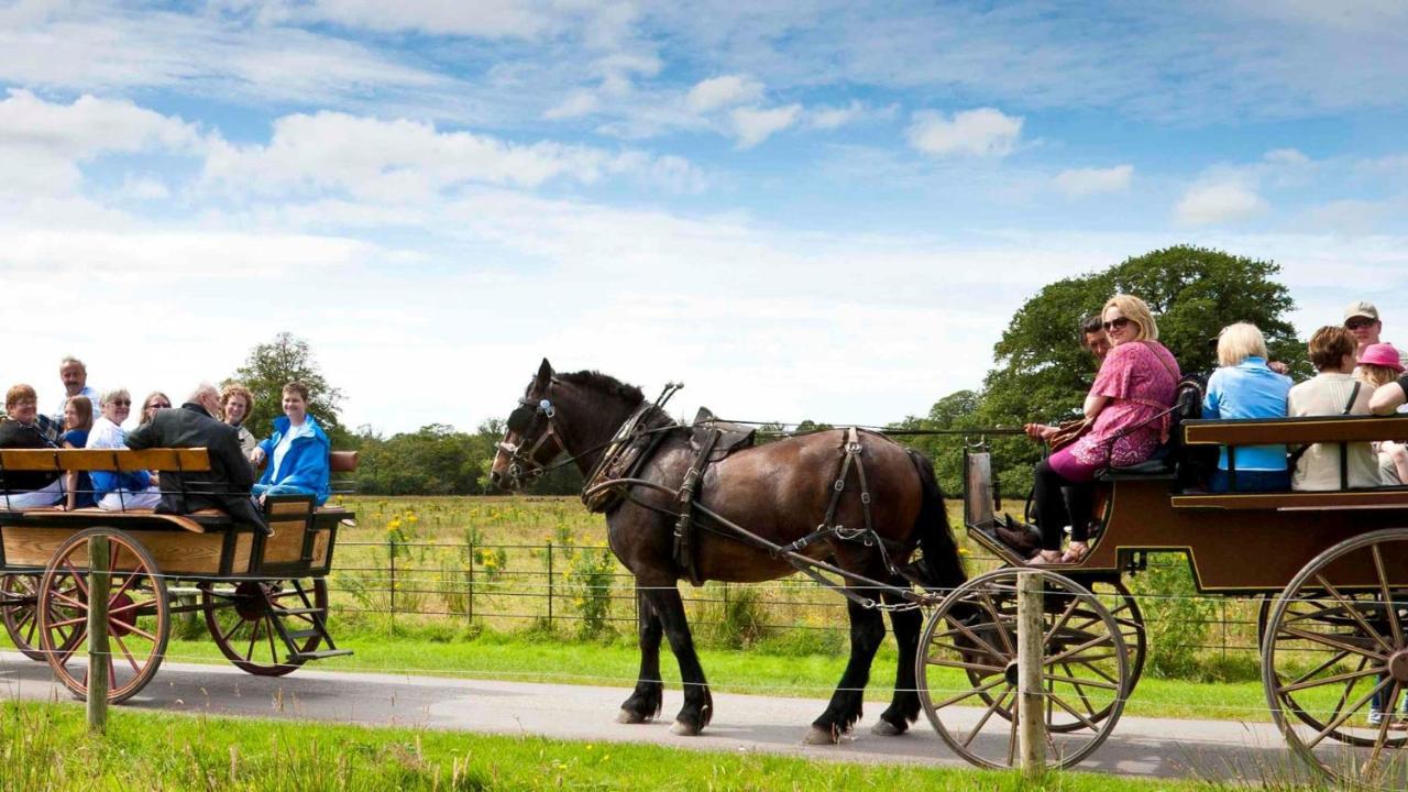 Muckross Park Hotel & Spa Kilclogherane Exterior photo Horse and cart